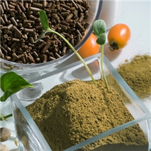 长沙厂家提供优质茶颗粒清塘茶颗粒净化