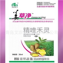 农药厂家批发生姜田苗后专用除草剂--姜草净对稗草灰绿藜特效