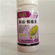 打瘟30%稻瘟灵异稻瘟净75克*40瓶，专业防治稻瘟病，朝农化工产
