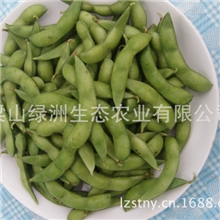 销售青毛豆种，亩产量3000斤。美味、好销售，籽粒饱满、高产。