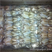 【厂家直销】冷冻绿色牛蛙后腿（单冻）