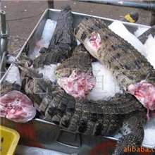 批发鳄鱼肉新鲜鳄鱼肉冷冻鳄鱼肉特色野味
