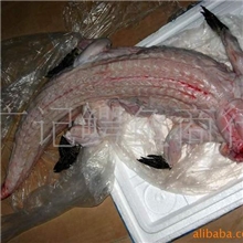 大量批发供应无皮鳄鱼肉鳄鱼