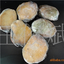 供应智利带壳鲍鱼