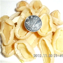 新品促销海鲜干货淡干新鲜小鲍鱼/缅甸鲍鱼/200头/斤250克包装