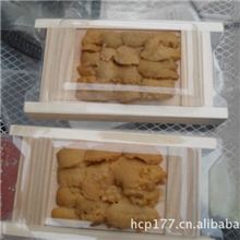 个大肉肥活海胆，紫海胆，活鲜海胆