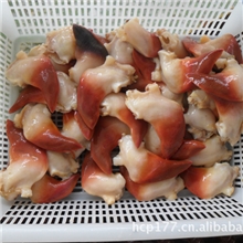 冷冻水产品批发北极贝肉，刺身，寿司，北极贝，冷冻水产品