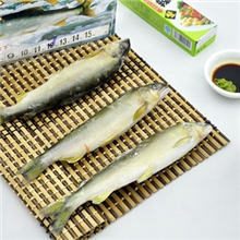 明大食品海鲜食材供应日本香鱼