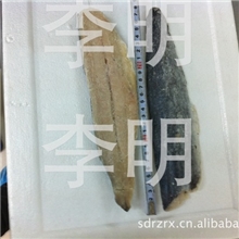 供应黄海产冷冻水产品批发优质鲅鱼片