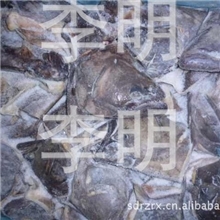 批发供应加拿大产优质冷冻水产品鲽鱼头加拿大比目鱼头
