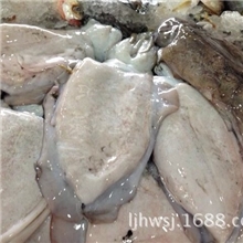 厂家供应墨鱼仔墨鱼卷新鲜淡水墨鱼味道鲜美