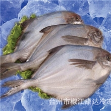 批发供应水产品粗加工鲳鱼粗加工黄鱼粗加工冷冻品加工