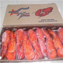 加拿大熟冻龙虾