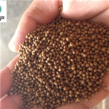 温泉鱼饲料亲亲鱼饲料足疗鱼饲料