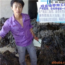 供应散装海带,批发海带,淡干海带