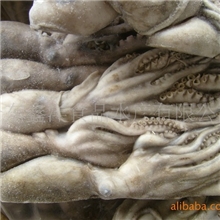 粗加工水产品中朝边境冷冻长腿章鱼/去脏章鱼海鲜特色水产