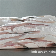 批发，代理新沂骆马湖速冻鱼腩