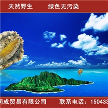 朝鲜鲍鱼鲍鱼批发鲍鱼鲜活鲍鱼