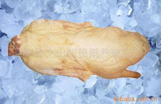 供应冰鲜朗德鹅白条鹅