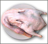 合作社直销冷冻白条鹅杂交肉食鹅3元起