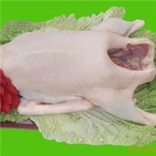 天鹅湖生态农业大量供应白条鹅、鹅肉