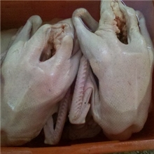 汕头澄海狮头鹅全鹅光鹅老鹅头鹅肠专供酒楼批发