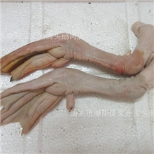 低价批发潮汕大鹅掌狮头鹅澄海鹅脚专供酒店酒楼