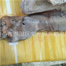 供应澄海老鹅头潮汕大鹅头狮头鹅批发老鹅头专供酒店酒楼