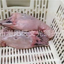 潮汕澄海狮头鹅大鹅头一级鹅头专供酒店酒楼