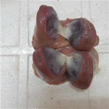 (低价)批发冰鲜狮头鹅鹅肾鹅腱鹅胗专供酒店酒楼