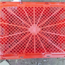 供应二手水果蔬菜禽鸟周转箱塑料筐周转蓝杨梅篮塑料箱水果包装箱