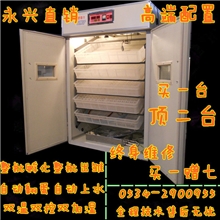 供应永兴自动加温、加湿、翻蛋、报警、双温系统小型孵化机