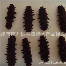 海参、水产品食品