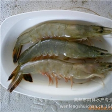 罗氏沼虾.鲜活虾批发
