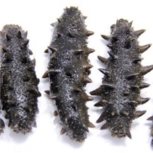 厂家直销海参半干辽参30-35头大连海参可退换货品质有保证