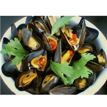 水产批发全壳贻贝全壳野生贻贝贻贝