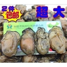 自家晒制大嶝野生/牡蛎干/海蛎干/生蚝干货/蚝豉海蛎子大号