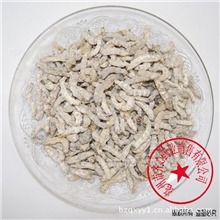 批发供应中药材僵蚕僵勇美白淡斑美容养颜