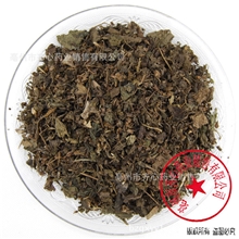 批发供应中药材优质紫苏叶质量保障量大从优