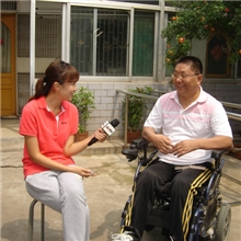 提供肉牛鲁西黄免费提供技术