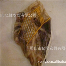 供应鸵鸟肉,掌,珍,筋,心,肝,肚,脖子,排骨,翅膀,油,鸵鸟蛋