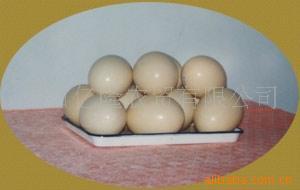 供应鸵鸟蛋新鲜鸵鸟肉鸵鸟养殖小鸵鸟鸵鸟蛋