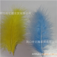 鸵鸟毛,鸵鸟羽毛,环保鸵鸟毛,环保服装鸵鸟毛条
