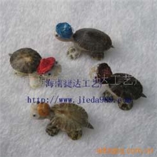 供海南工艺品、贝壳工艺品、小玳瑁工艺品
