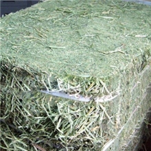 供应紫花苜蓿草捆饲料