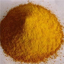 供应玉米蛋白粉