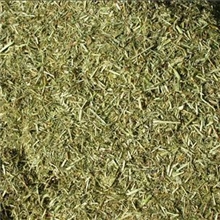 加工生产紫花苜蓿草粉草粉