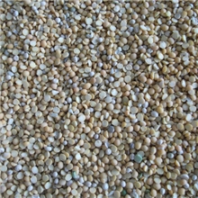 豌豆瓣子、碎豌豆、豆瓣子