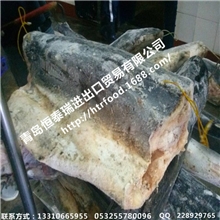 印尼进口大型鱼制作鱼丸专用材料