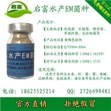 启富水产EM菌种菌液水质净化降低氨氮PH值提高溶氧量减少鱼病